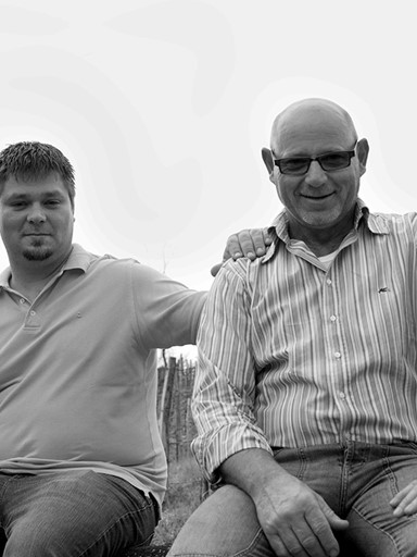 Image alt text